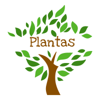 Departamento Plantas